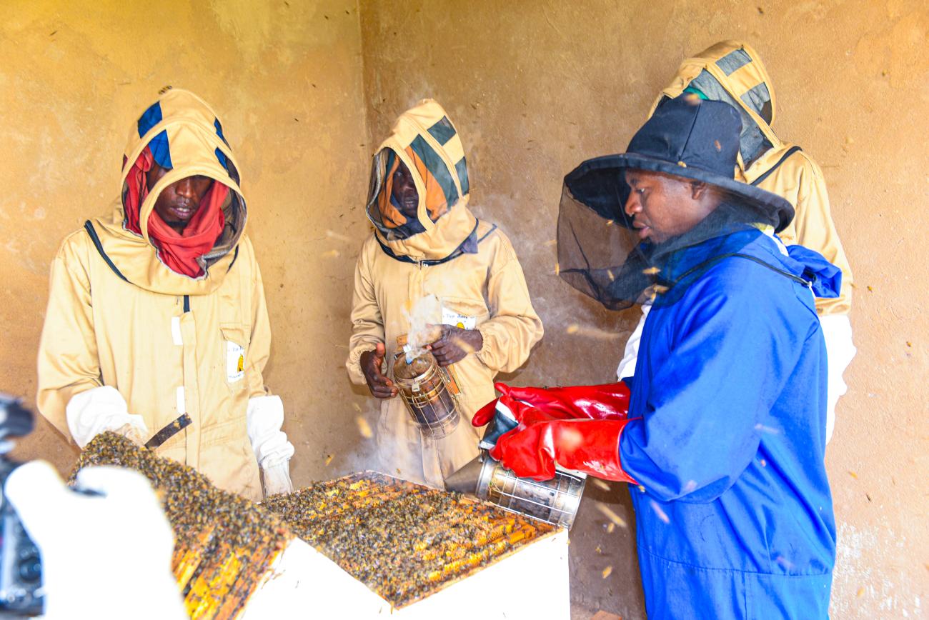 FAO facilitates the training of 100 beekeepers on improving the quality and standard of honey products