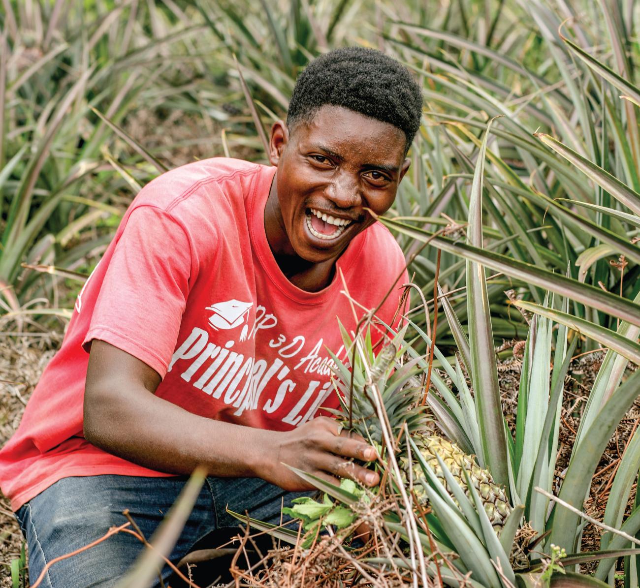 A member of Icyerekezo cyacu is hoeing pineapples in the cooperative plantation  from the support of the ECOBRIGADE program supported by UNDP Rwanda.  