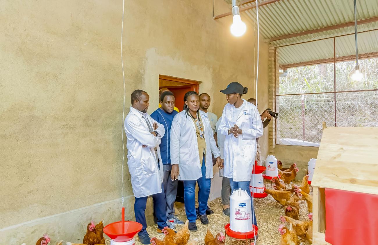 (L-R) Minister of Agriculture and Animal Resources Dr. Ildephonse Musafiri, Governor of the Southern Province Ms. Alice Kayitesi, and Ms. Coumba Sow, FAO Representative, visiting a poultry farm in Southern Rwanda. 