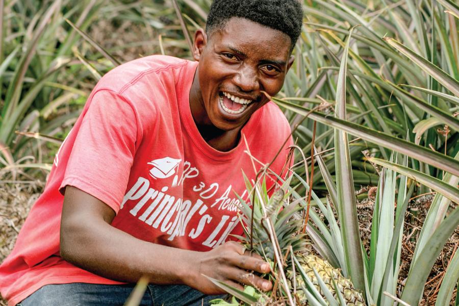 A member of Icyerekezo cyacu is hoeing pineapples in the cooperative plantation  from the support of the ECOBRIGADE program supported by UNDP Rwanda.  