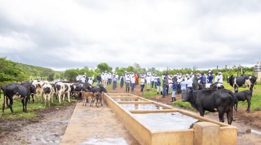 World Food Day: farmers urged to prioritise water Resource management