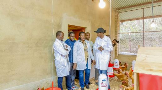 (L-R) Minister of Agriculture and Animal Resources Dr. Ildephonse Musafiri, Governor of the Southern Province Ms. Alice Kayitesi, and Ms. Coumba Sow, FAO Representative, visiting a poultry farm in Southern Rwanda. 